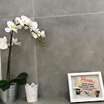 Vitopolis 3 * 里耶卡